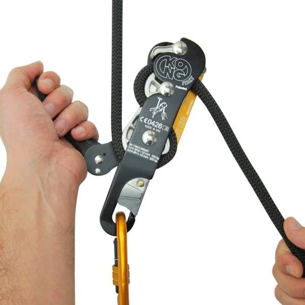 indy evo plus double autolocking descender 2